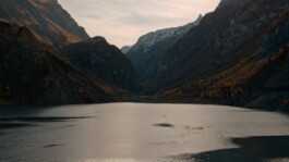 Screenshot Forbo marmoleum 