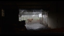 Paysan Particulier - documentaire 