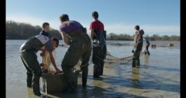 Paysan Particulier - documentaire 